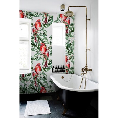 Fotobehang Paradijsvogels