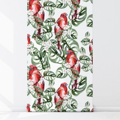 Fotobehang Paradijsvogels