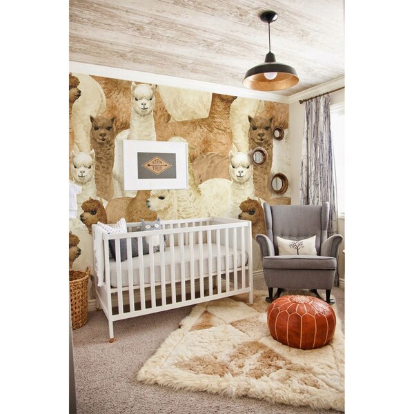 Fotobehang Een dag met alpaca's