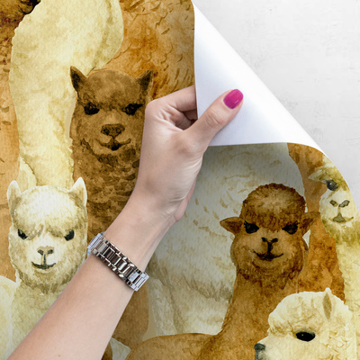 Fotobehang Een dag met alpaca's