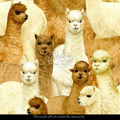 Fotobehang Een dag met alpaca's