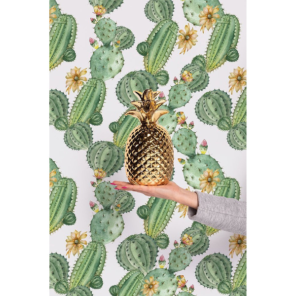 Fotobehang Ergens in Mexico bij de Cactus