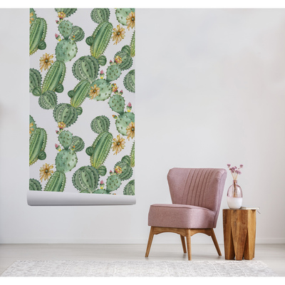 Fotobehang Ergens in Mexico bij de Cactus