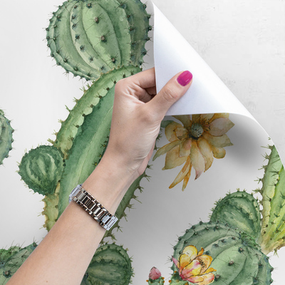 Fotobehang Ergens in Mexico bij de Cactus