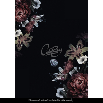 Fotobehang De lange donkere nacht in de tuin