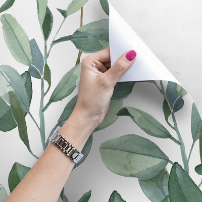 Fotobehang De helende kracht van eucalyptus