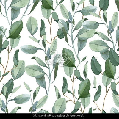 Fotobehang De helende kracht van eucalyptus