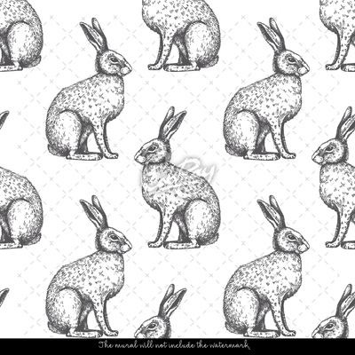 Fotobehang Grijze Hazen