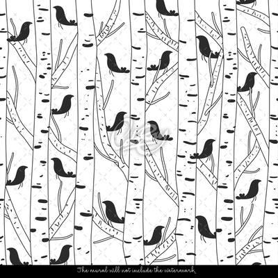 Fotobehang Berkenbos