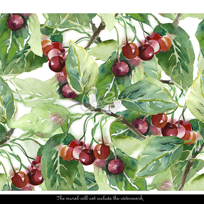 Fotobehang Weelderige kersenboomgaard