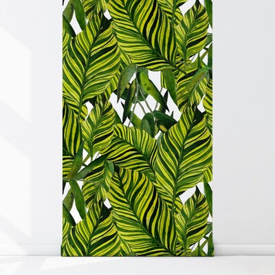 Fotobehang Grote bladeren van de hete tropen