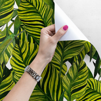 Fotobehang Grote bladeren van de hete tropen