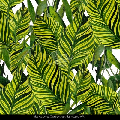 Fotobehang Grote bladeren van de hete tropen