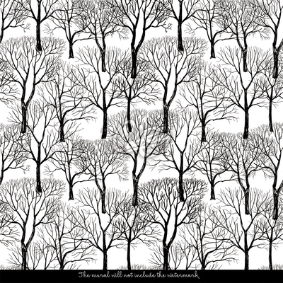 Fotobehang Winterlandschap in het park