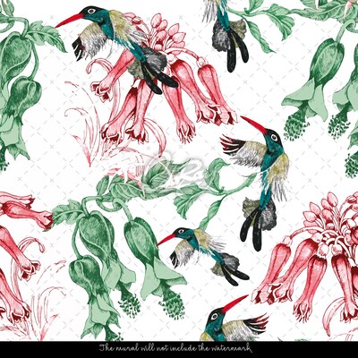 Fotobehang Infusie van zomerkruiden