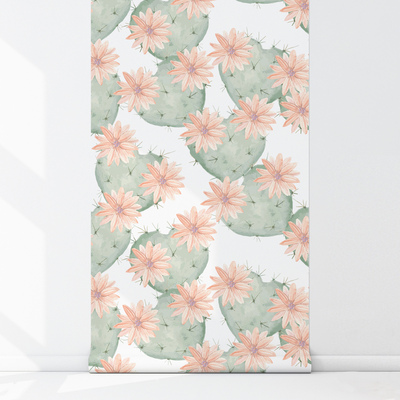 Fotobehang Mexicaanse bloeiende cactussen