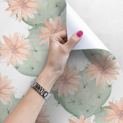 Fotobehang Mexicaanse bloeiende cactussen