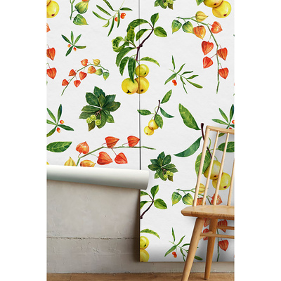 Fotobehang De natuurlijke schoonheid van Physalis