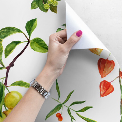 Fotobehang De natuurlijke schoonheid van Physalis