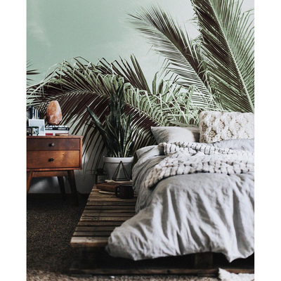 Fotobehang Hier groeide een palmboom