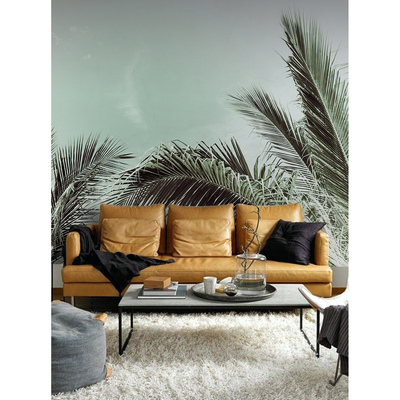 Fotobehang Hier groeide een palmboom