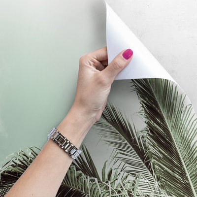 Fotobehang Hier groeide een palmboom