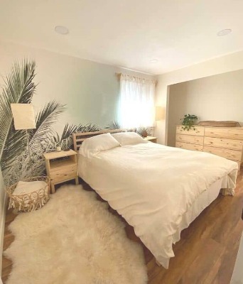 Fotobehang Hier groeide een palmboom