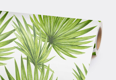 Fotobehang Tropische fans