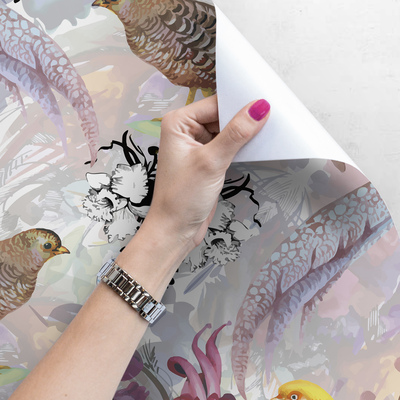 Fotobehang Fazant Wilde Natuur