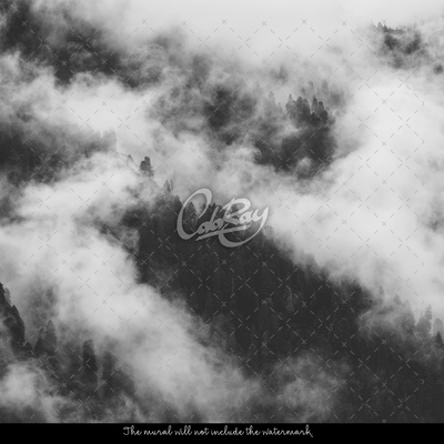 Fotobehang Gehuld in mist