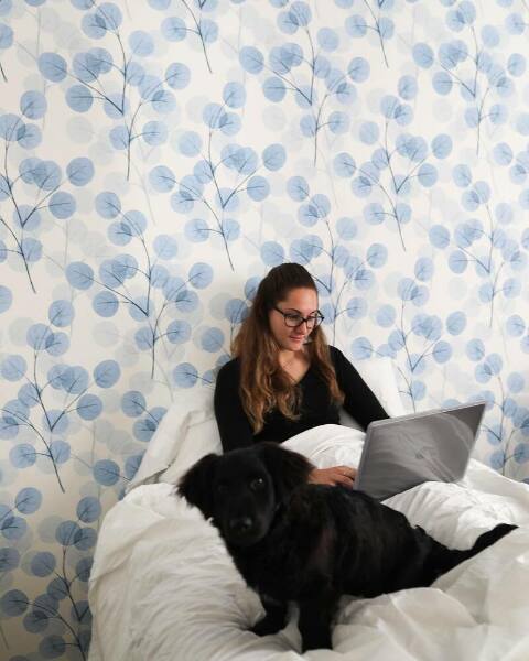 Fotobehang Katoenveld