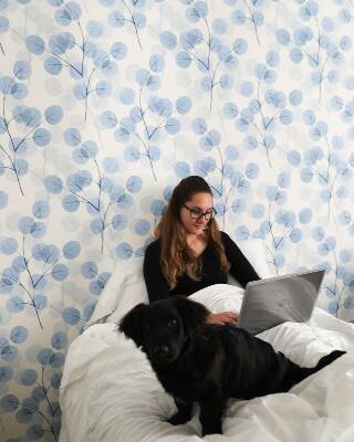 Fotobehang Katoenveld