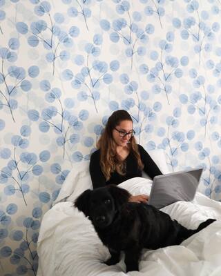 Fotobehang Katoenveld