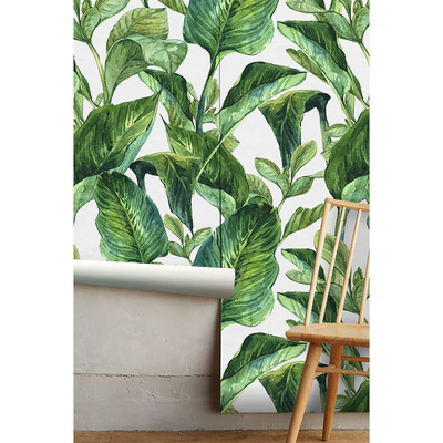 Fotobehang Weelderige groene tropen