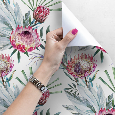 Fotobehang Afrikaanse koningsprotea