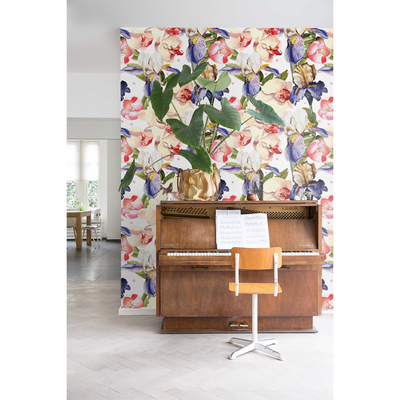 Fotobehang Prachtige orchidee