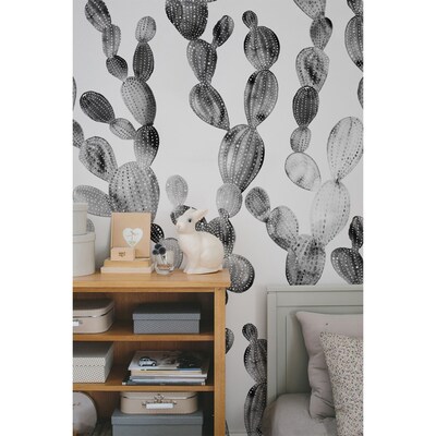 Fotobehang Grijze Cactussen