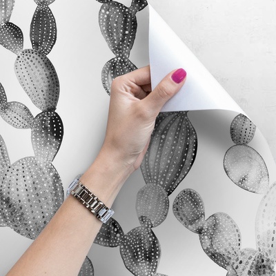 Fotobehang Grijze Cactussen