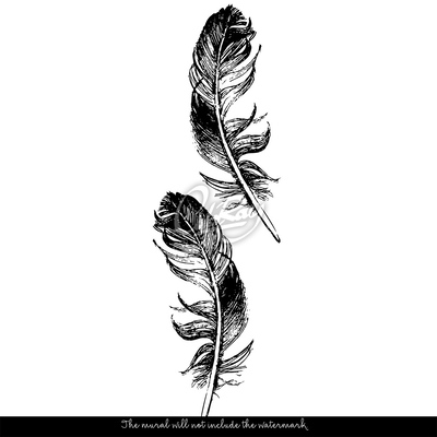 Fotobehang Vogelveer