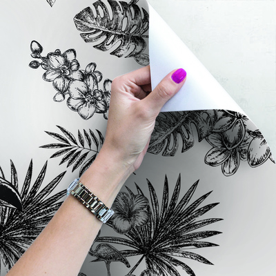 Fotobehang Toekan in de tropen