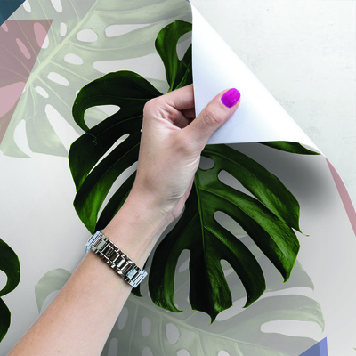 Fotobehang Monstera in pastelkleuren