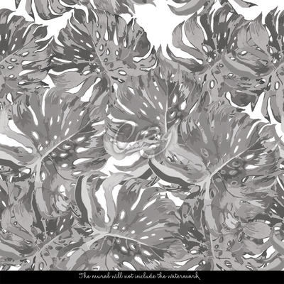 Fotobehang Grijze Monstera