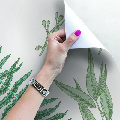 Fotobehang In het land van de varens