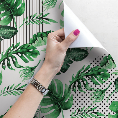 Fotobehang Gestreepte Monstera