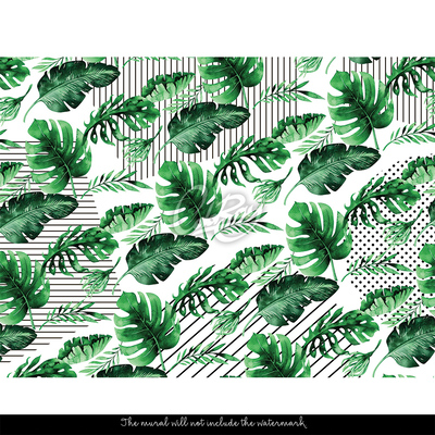 Fotobehang Gestreepte Monstera