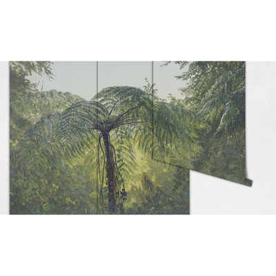 Fotobehang Rust in het Amazonewoud