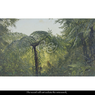 Fotobehang Rust in het Amazonewoud