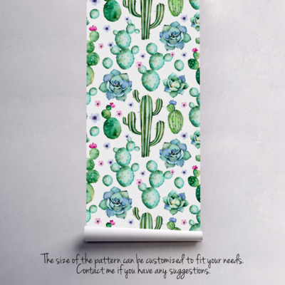 Fotobehang Succulentencollectie