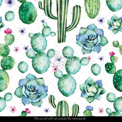 Fotobehang Succulentencollectie