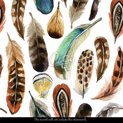 Fotobehang Iemand hier is een veer kwijtgeraakt